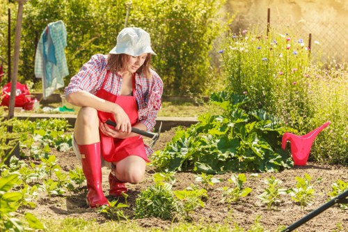 Professional gardener designing a backyard landscaping plan