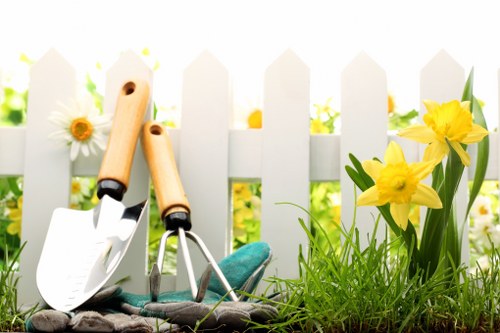 Image of meticulous lawn care and maintenance in a Hanworth garden